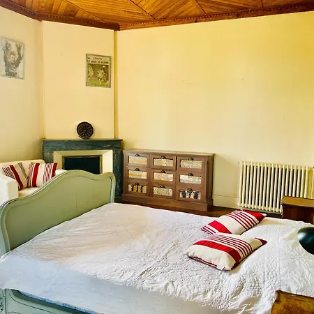 Maison De Maitre Parc Et Piscine Tatil Evi